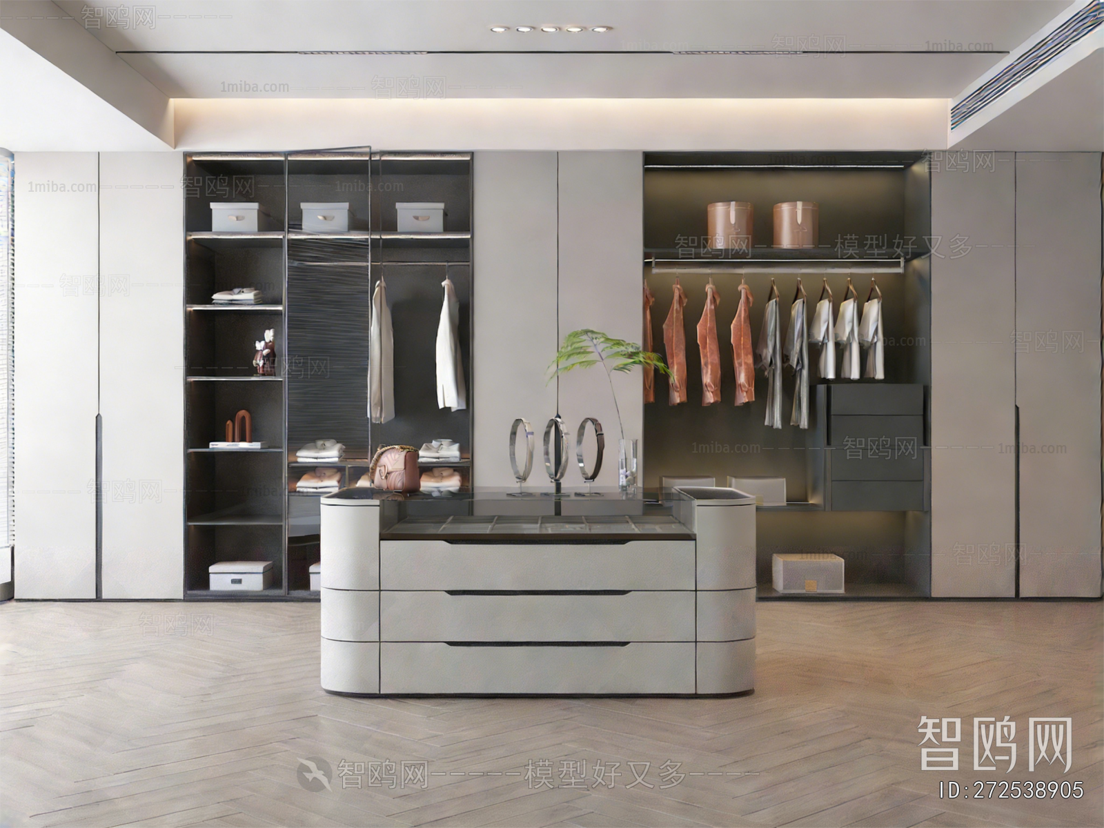 Modern Clothes Storage Area