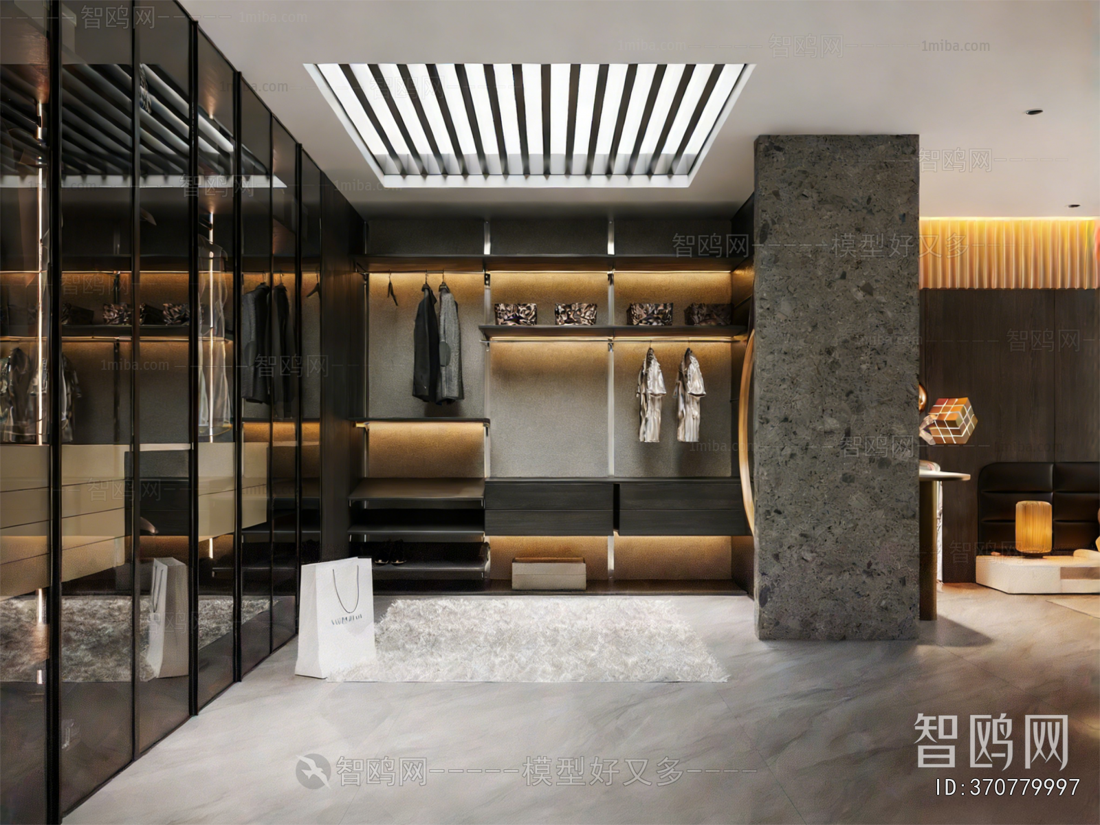 Modern Clothes Storage Area