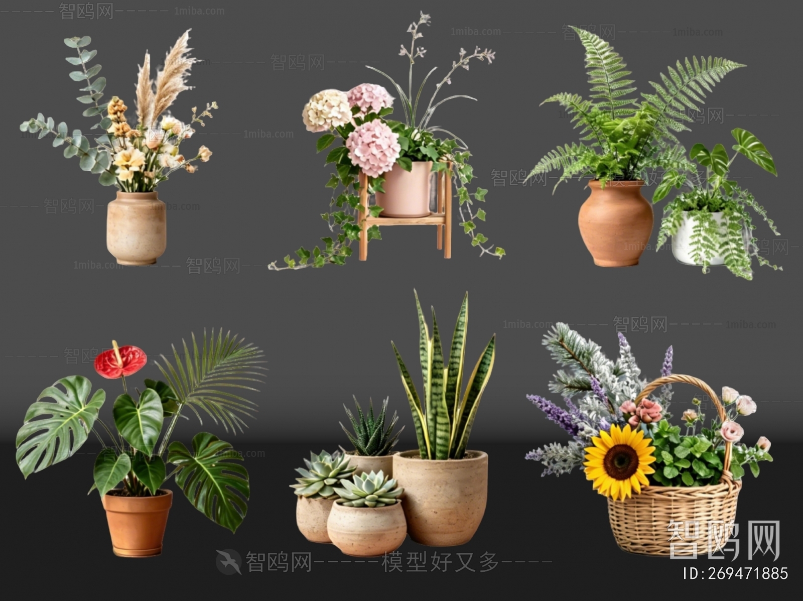 Modern Ground Green Plant Potted Plants