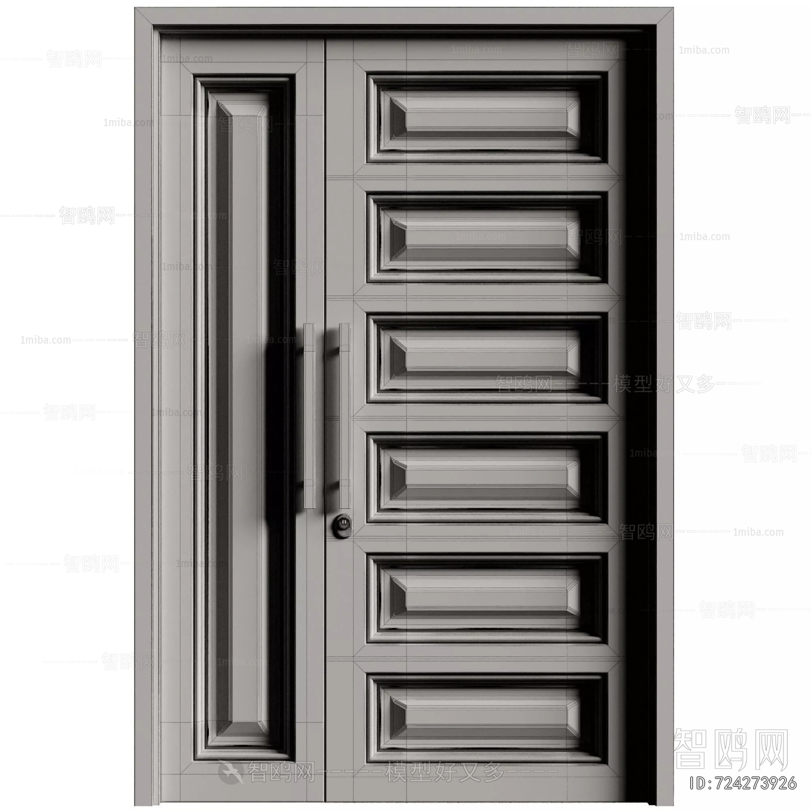 Modern Entrance Door