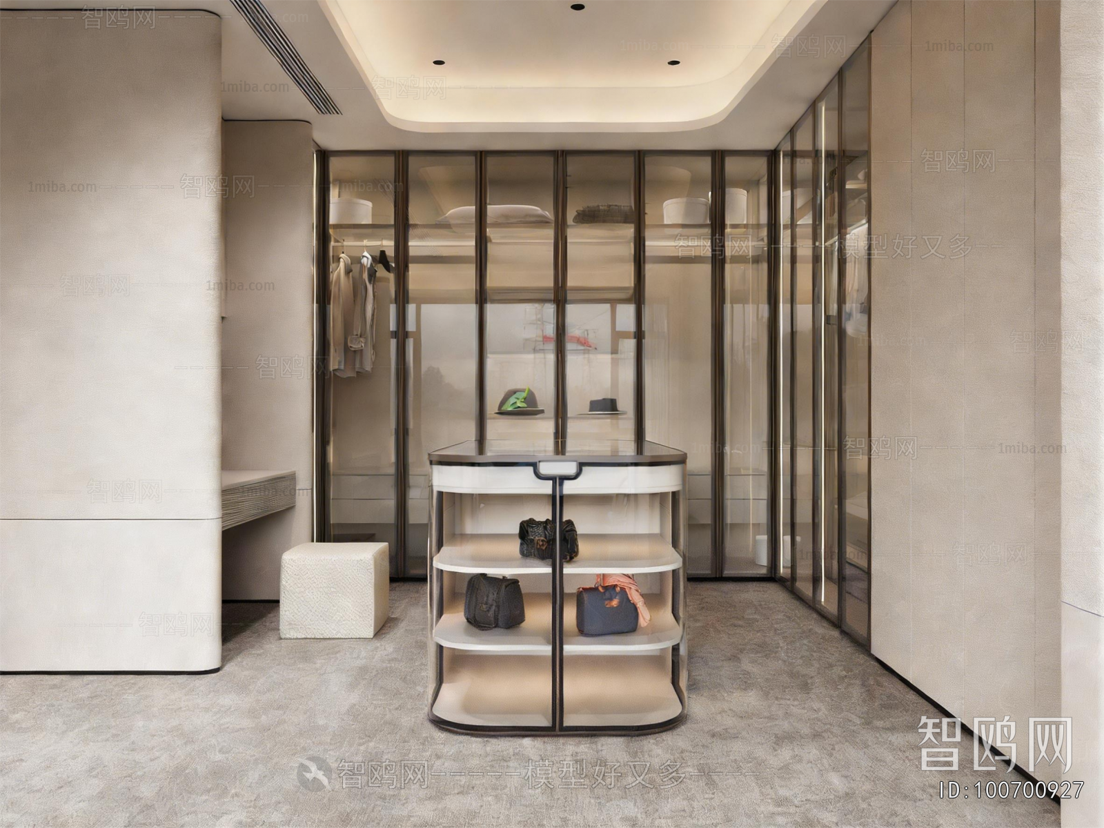 Modern Clothes Storage Area