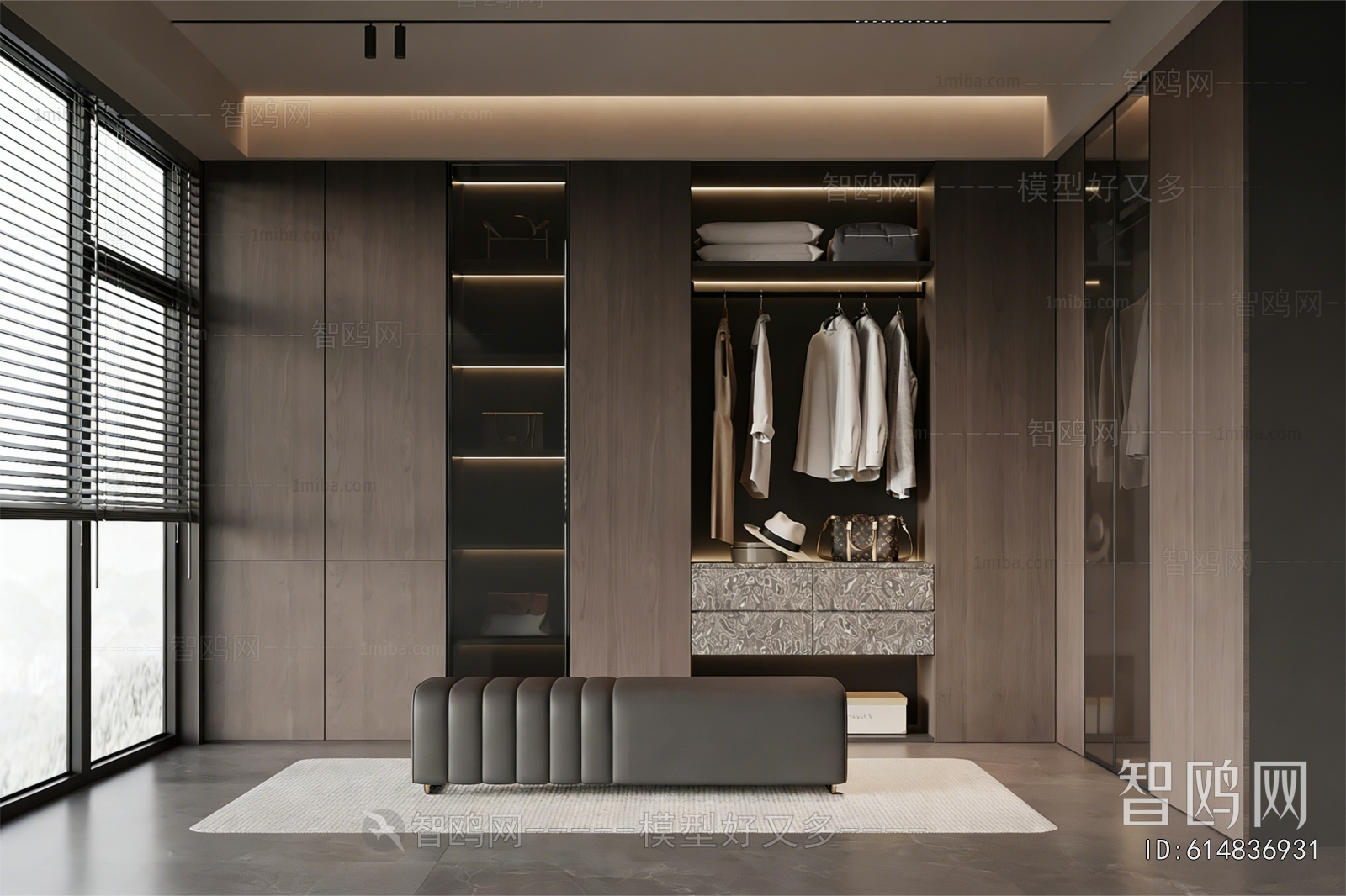 Modern Clothes Storage Area