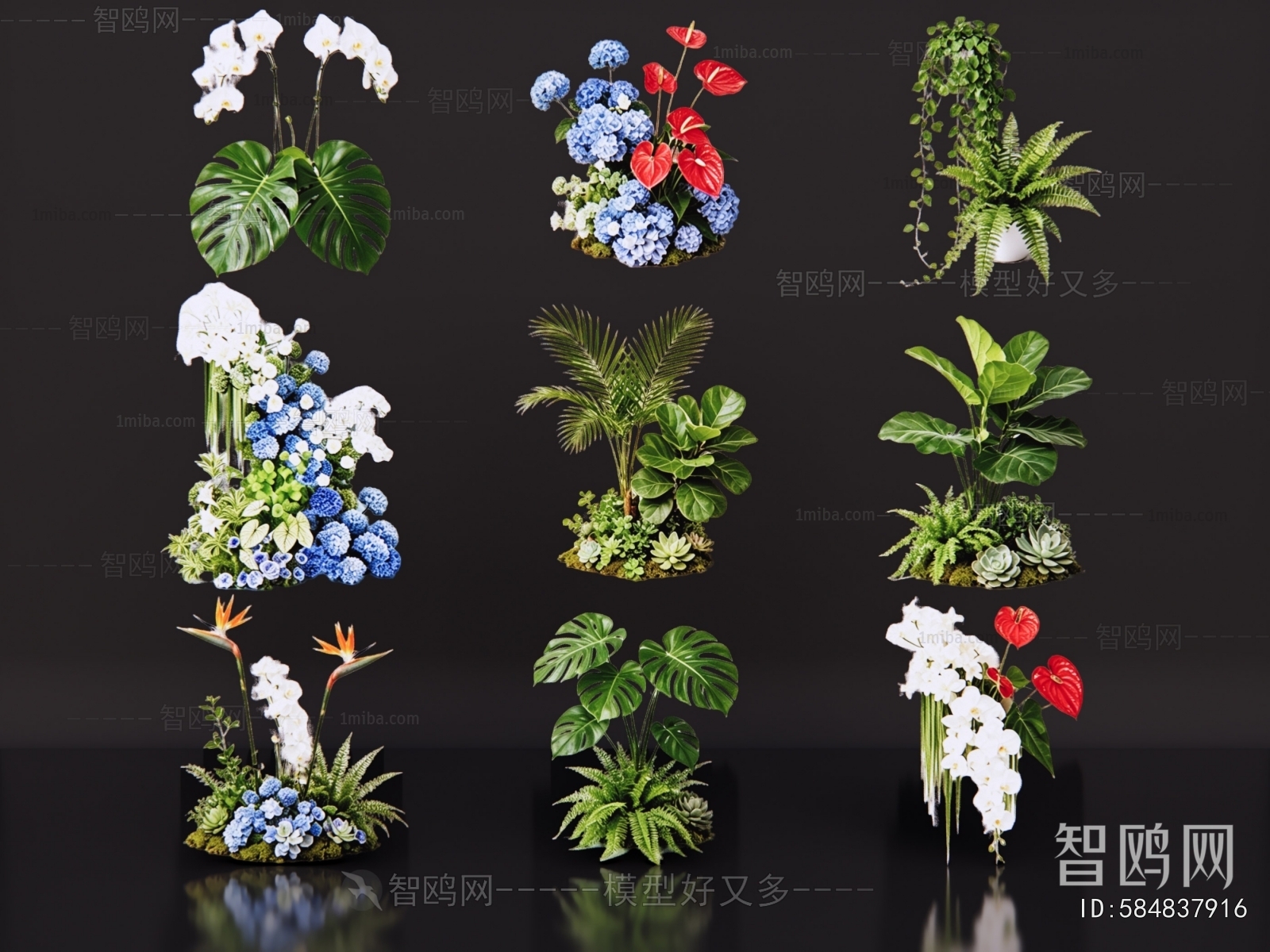 Modern Flowers And Grass