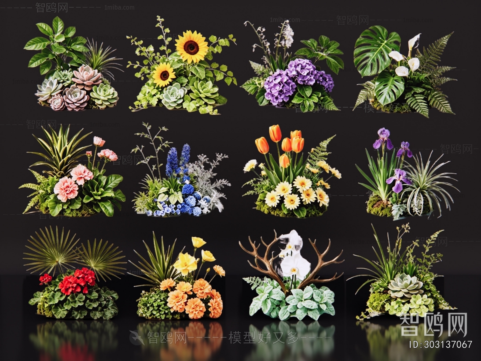 Modern Flowers And Grass