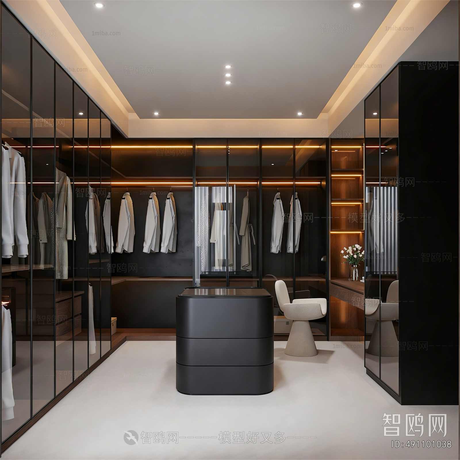 Modern Clothes Storage Area
