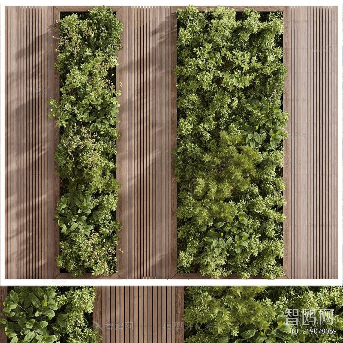 Modern Plant Wall
