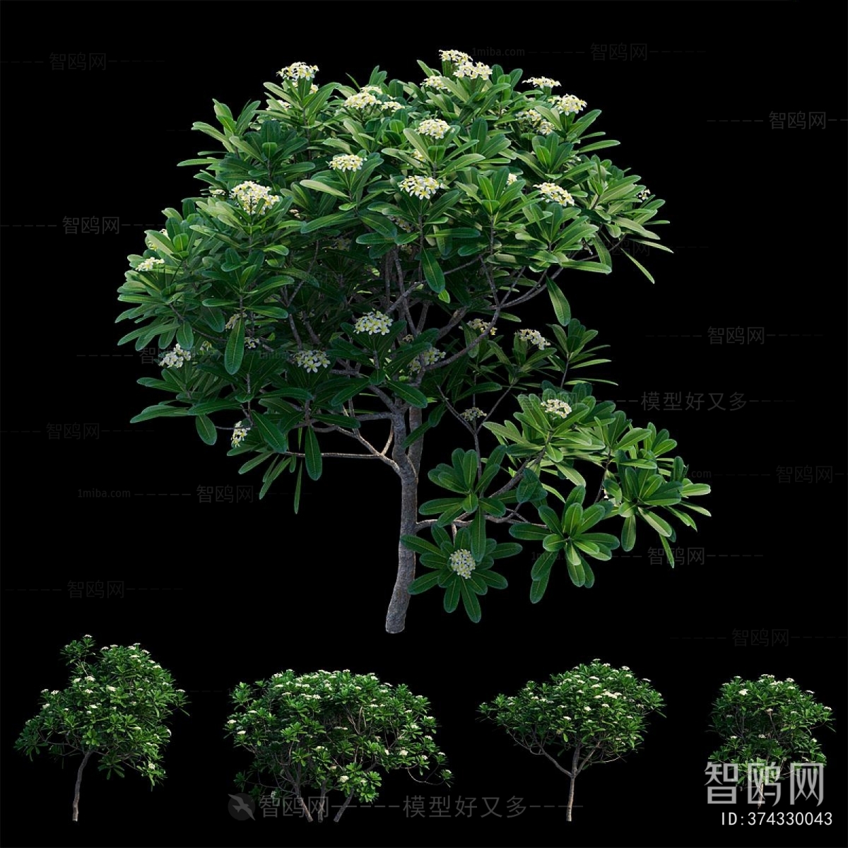 Modern Shrubbery