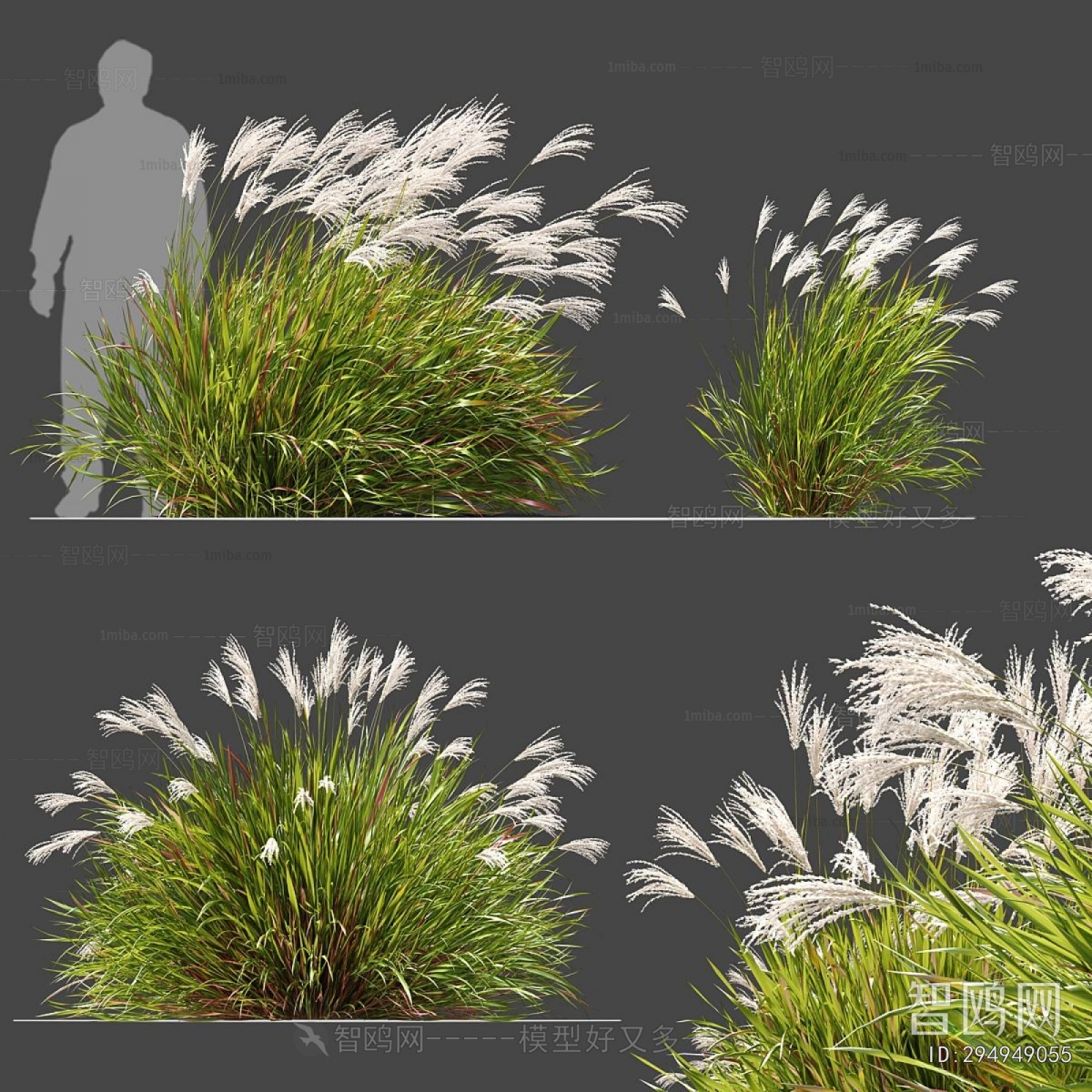 Modern Flowers And Grass
