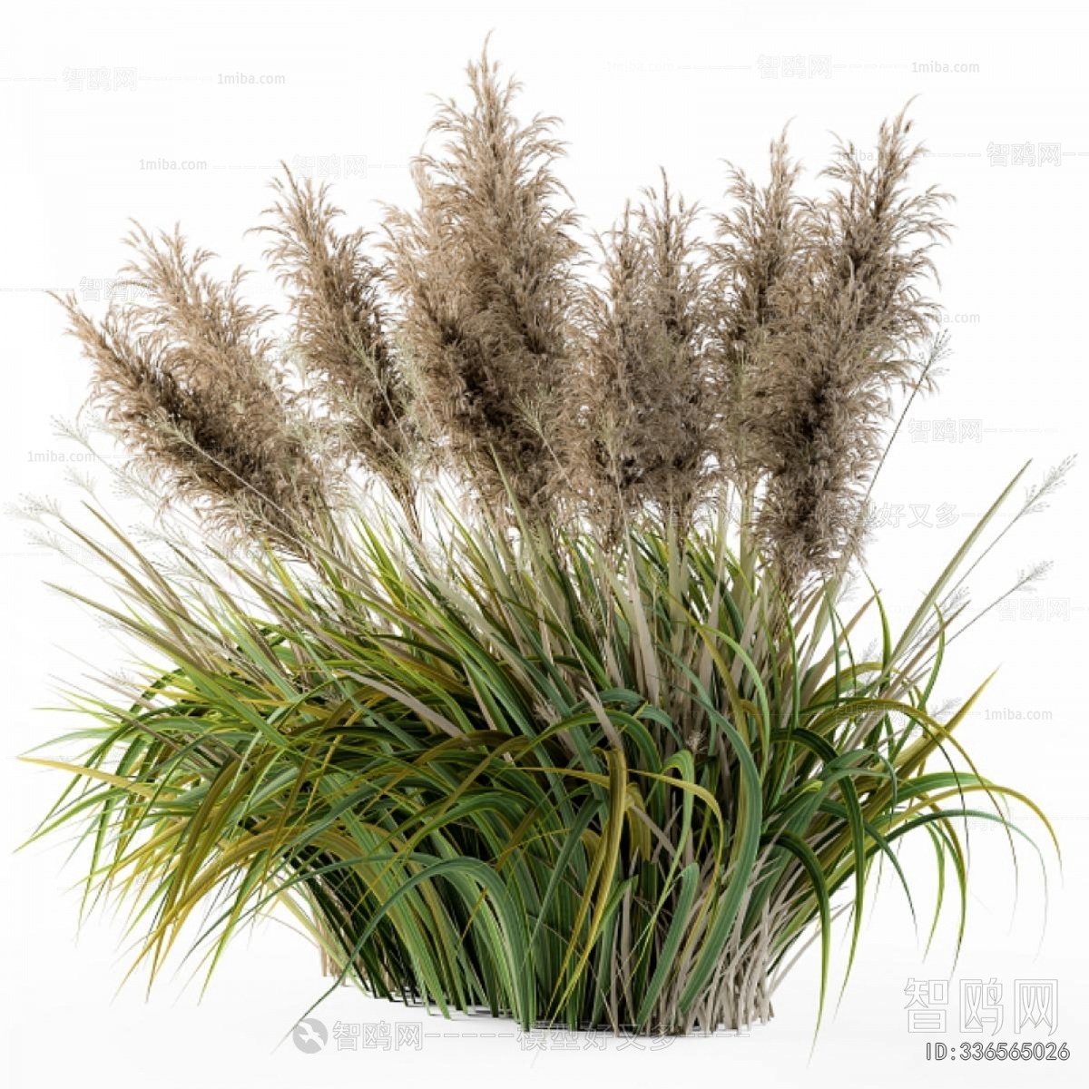Modern Flowers And Grass