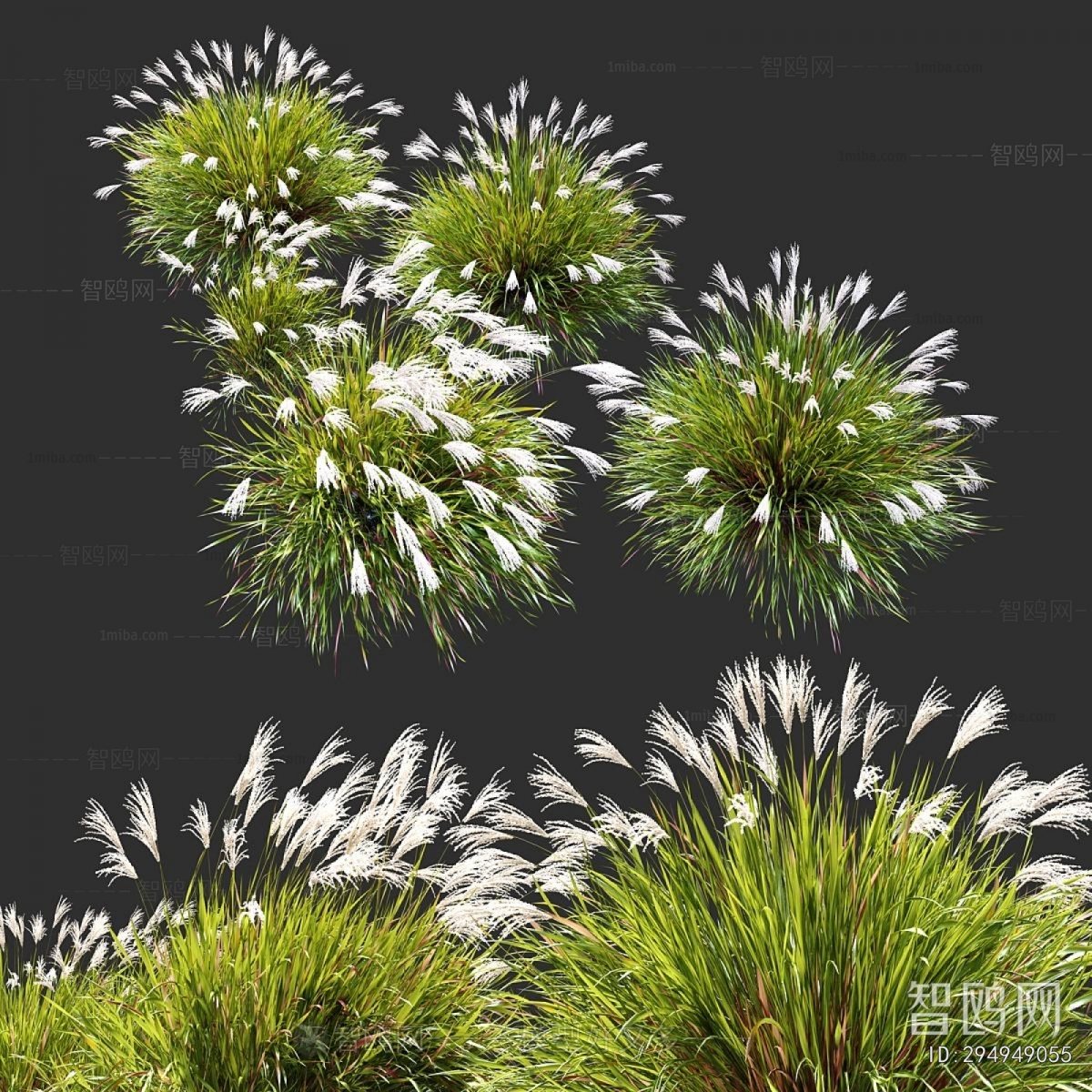Modern Flowers And Grass