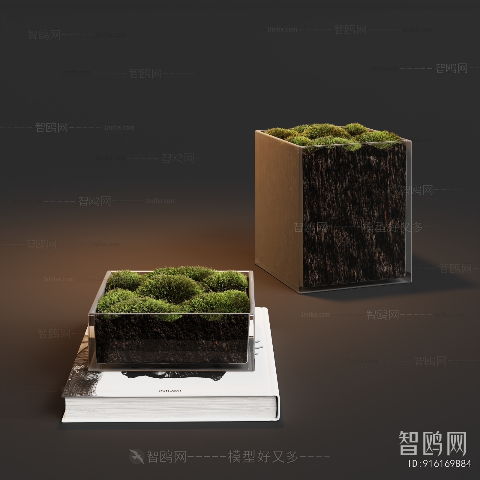 Modern Desktop Plant