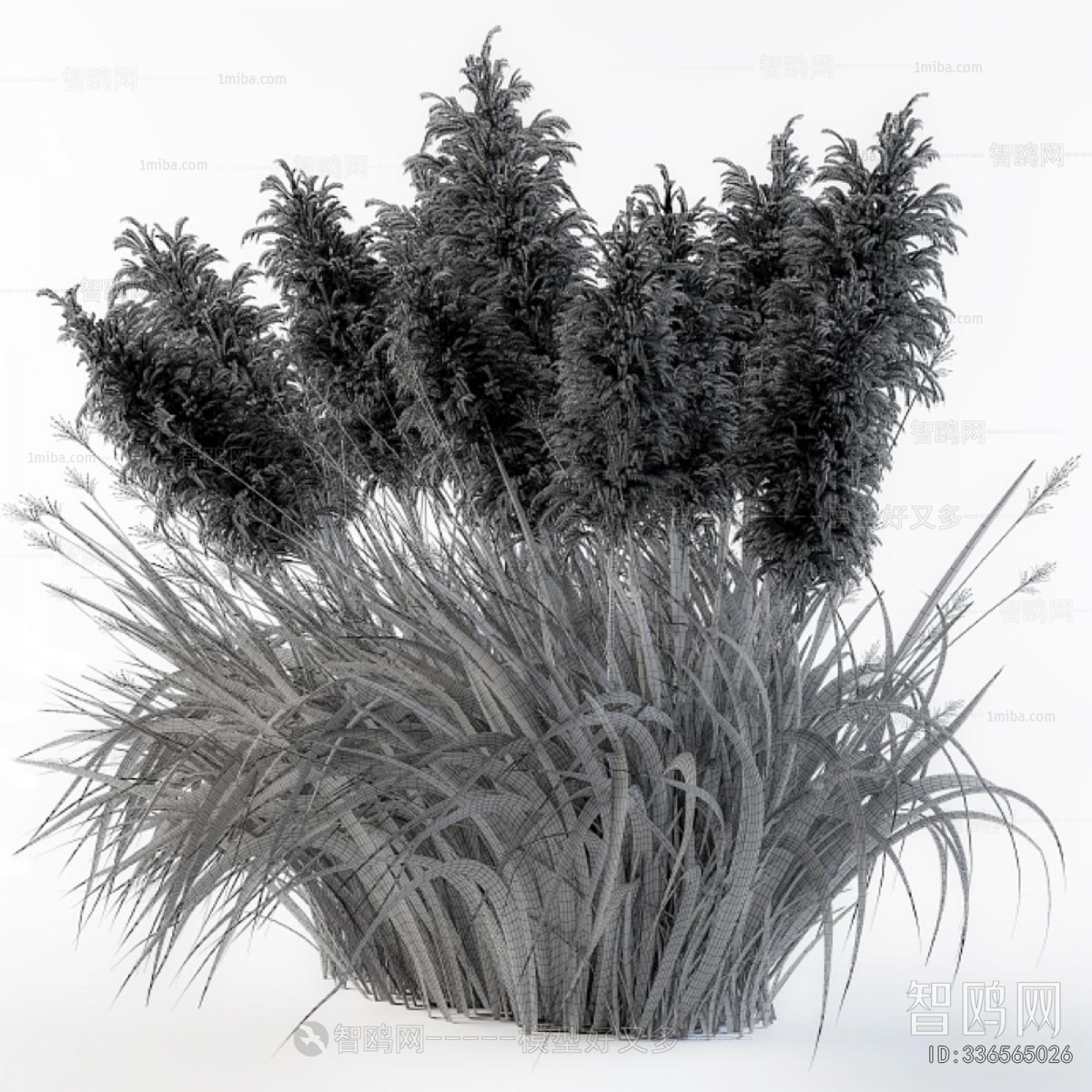 Modern Flowers And Grass