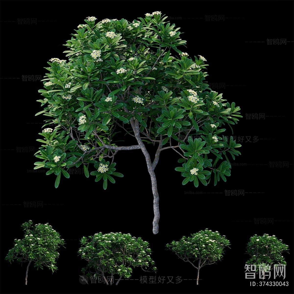 Modern Shrubbery