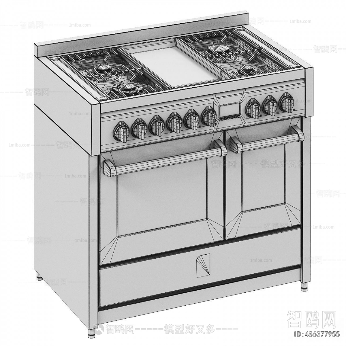 Modern Kitchen Electric Gas Range