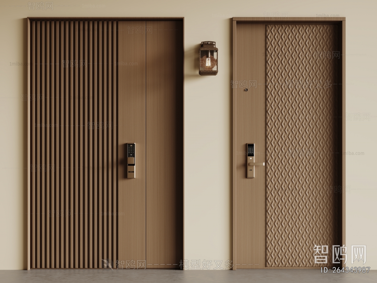 Modern Entrance Door