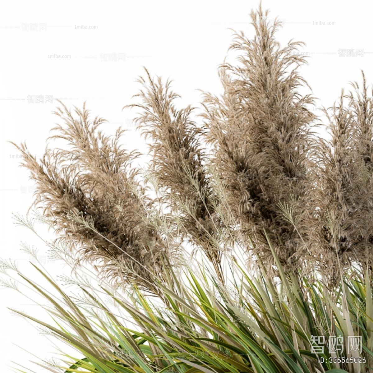 Modern Flowers And Grass