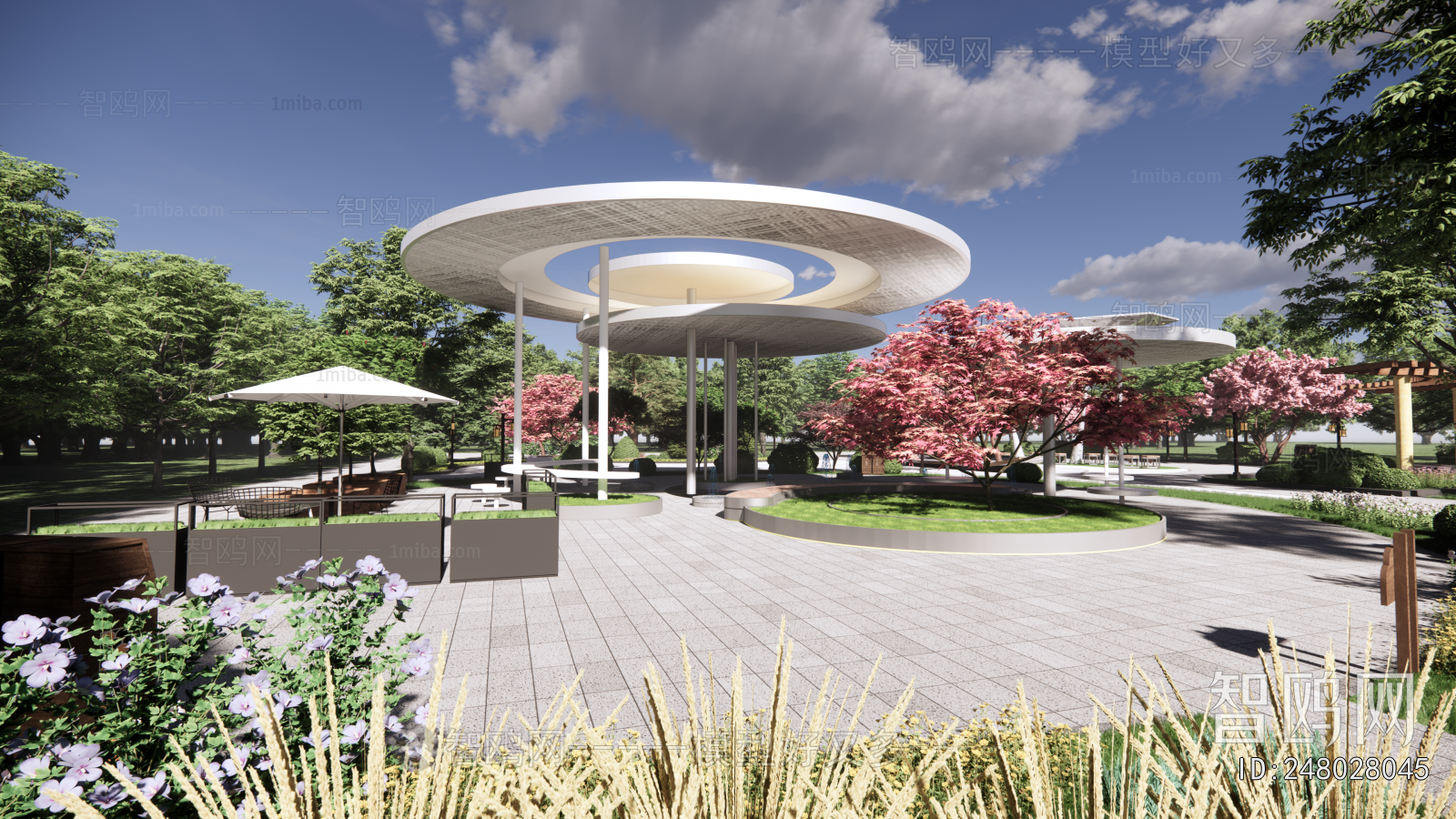 Modern Park Landscape