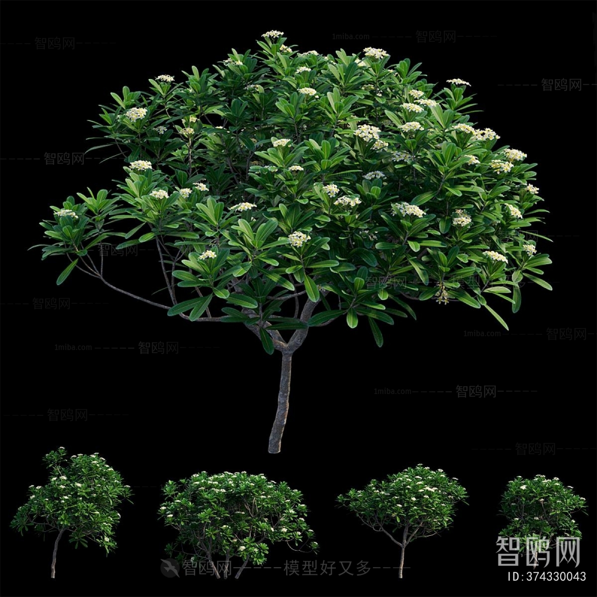 Modern Shrubbery