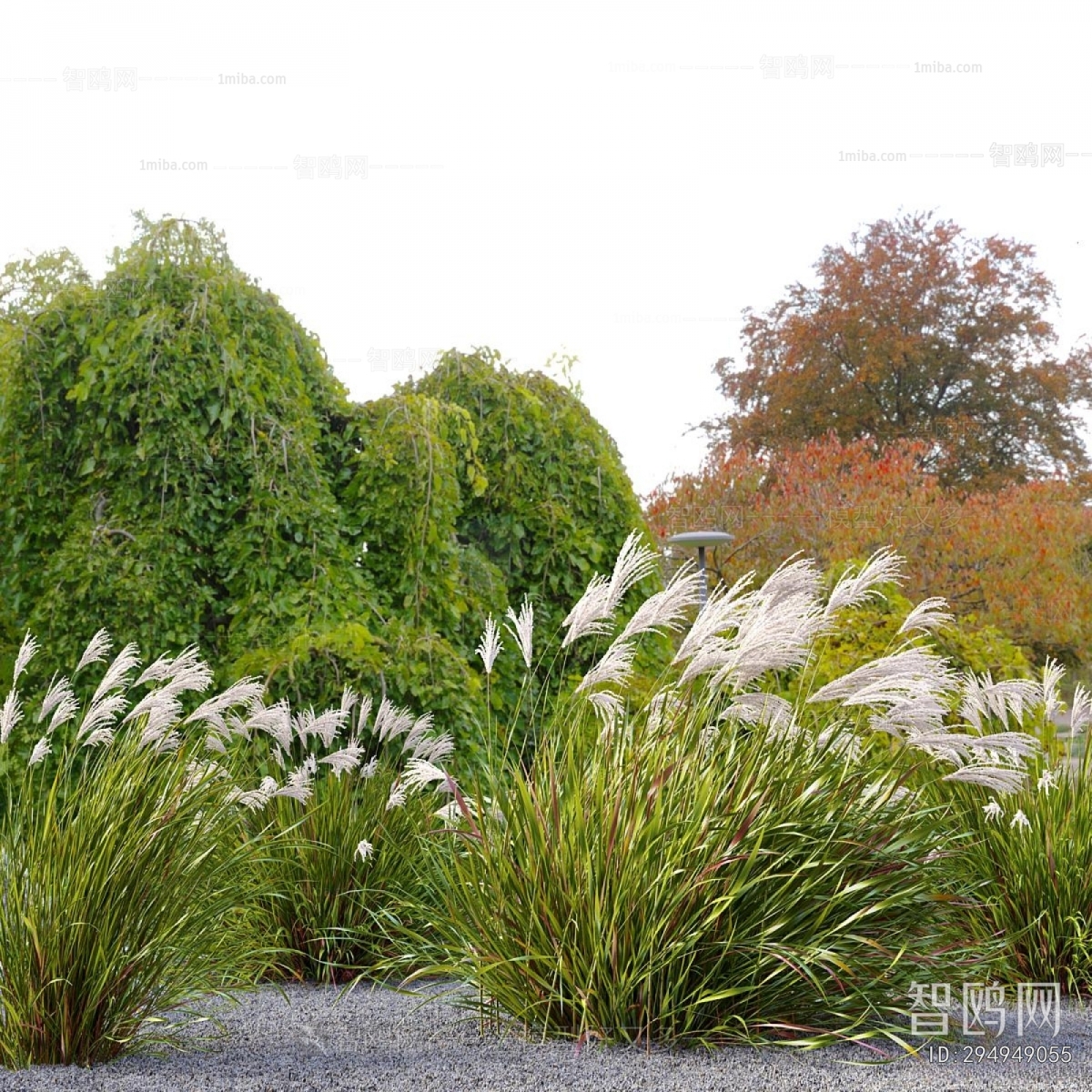 Modern Flowers And Grass