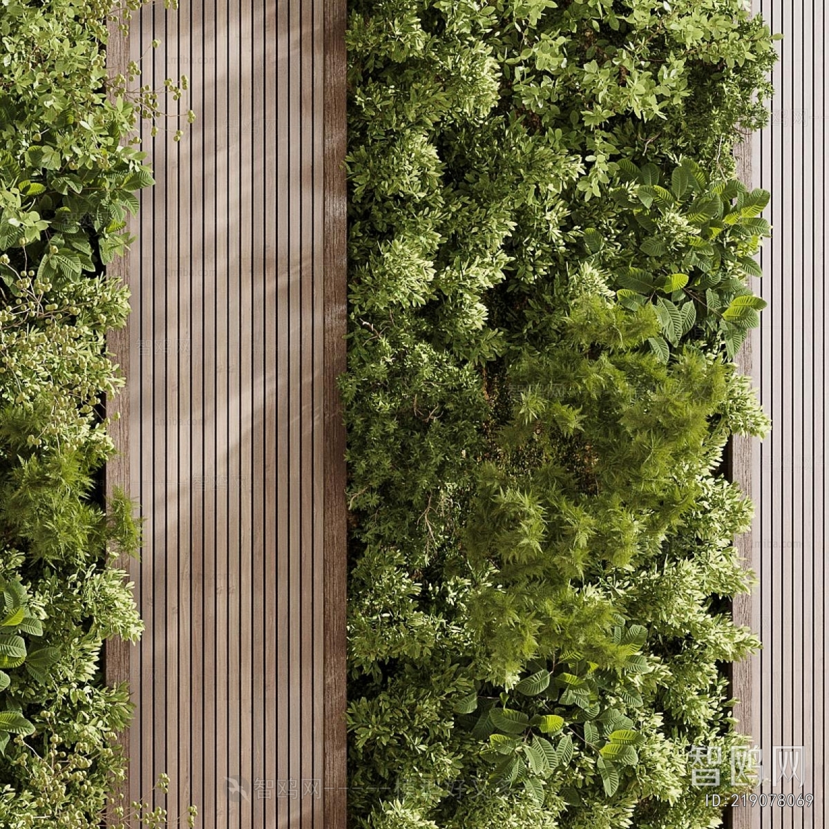 Modern Plant Wall