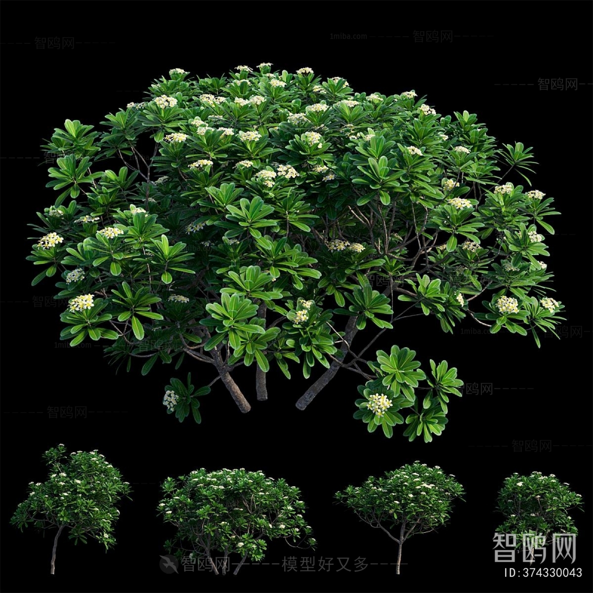 Modern Shrubbery