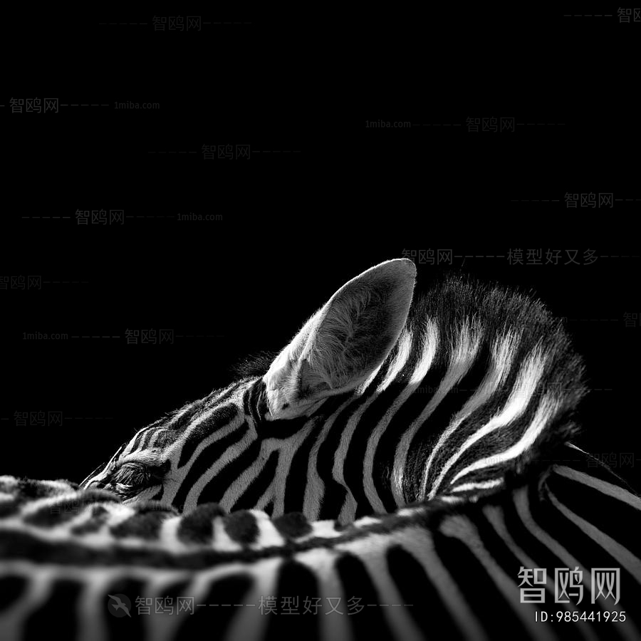 Animal Painting