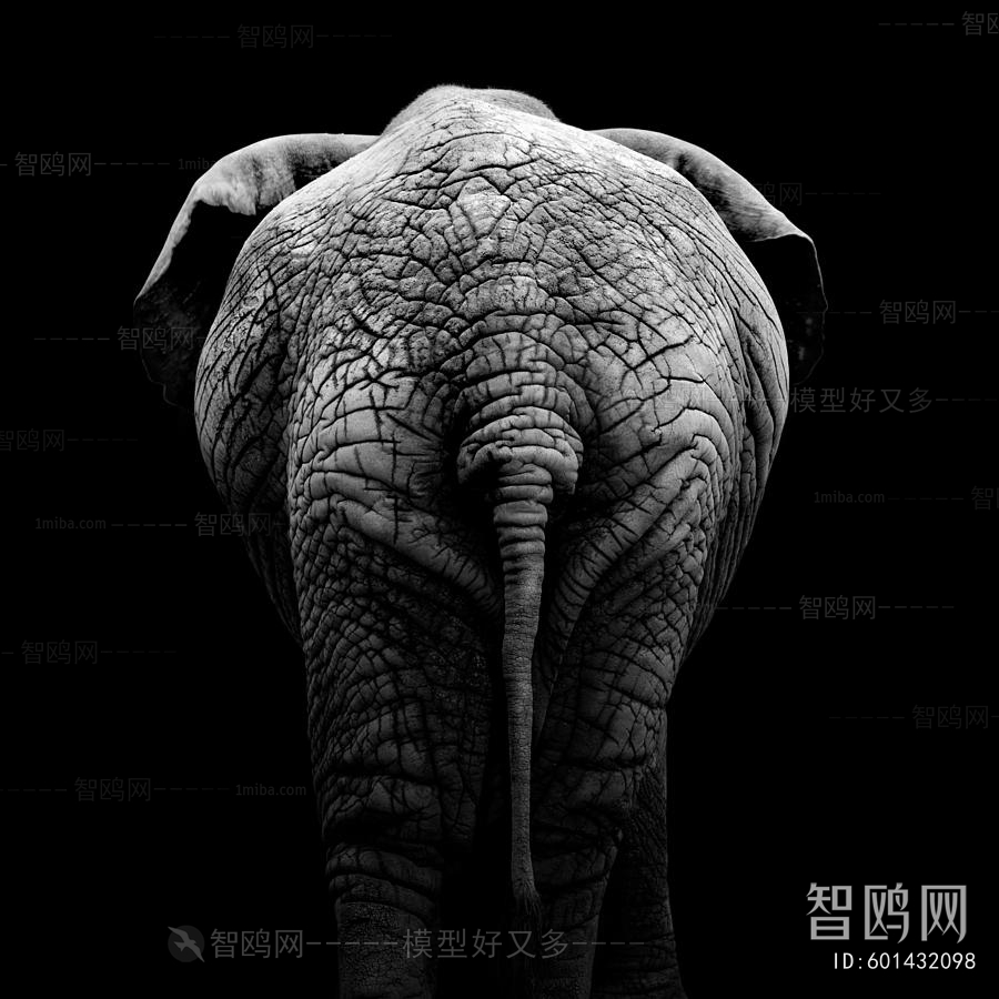 Animal Painting