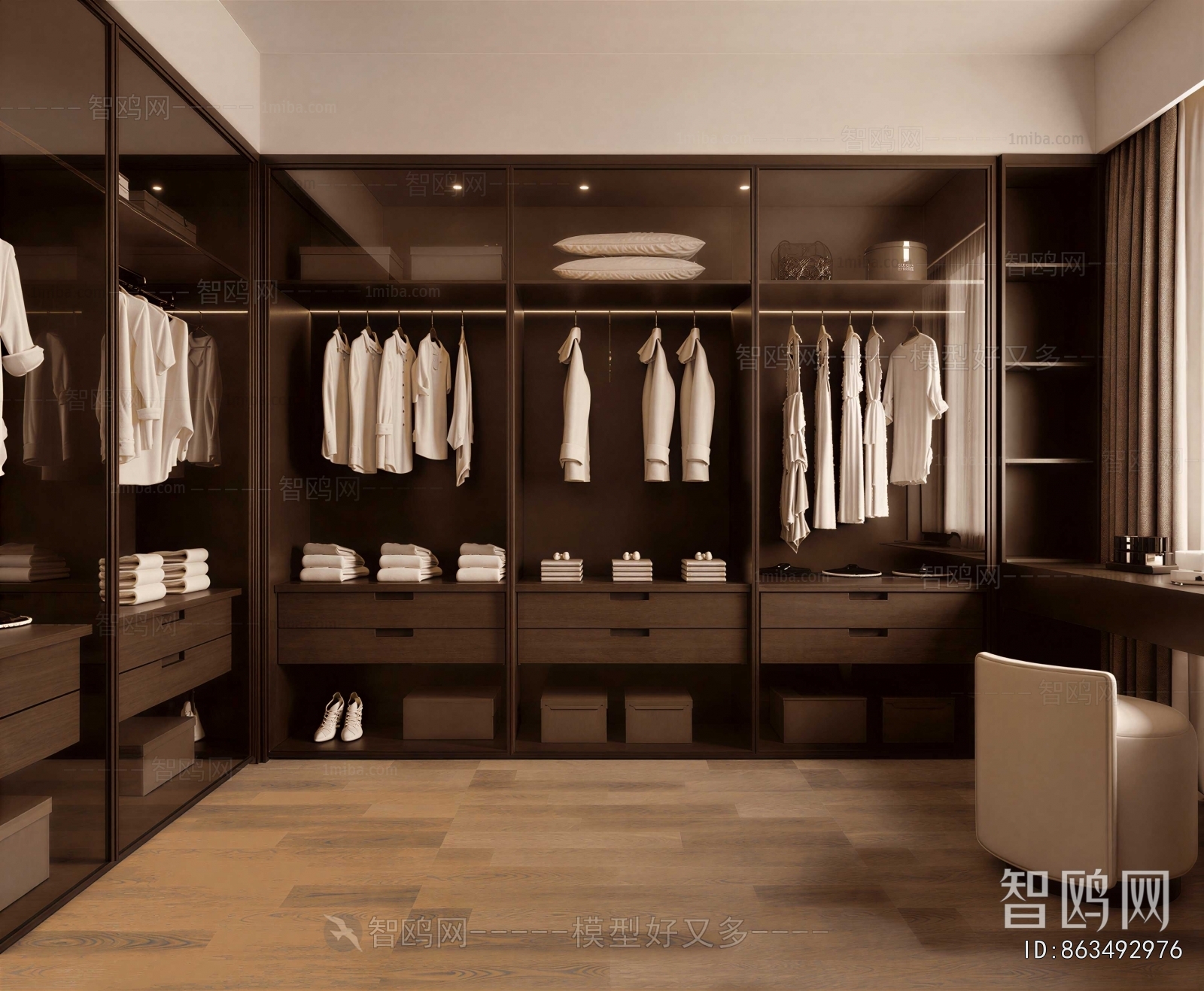 Modern Clothes Storage Area