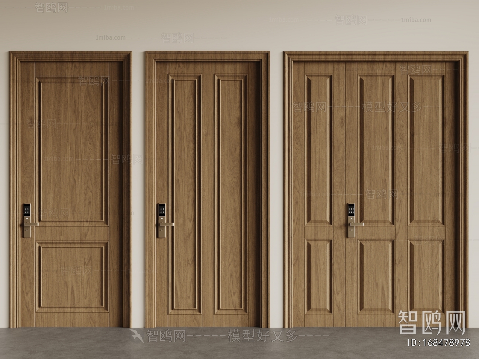Modern Entrance Door