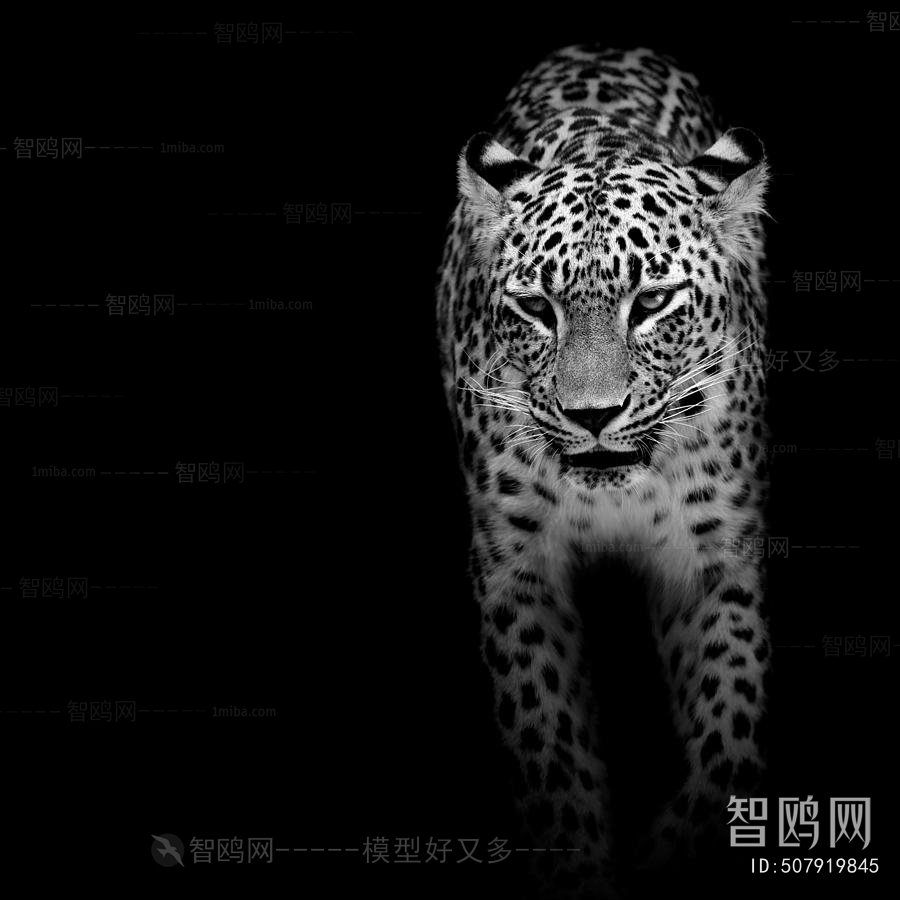 Animal Painting