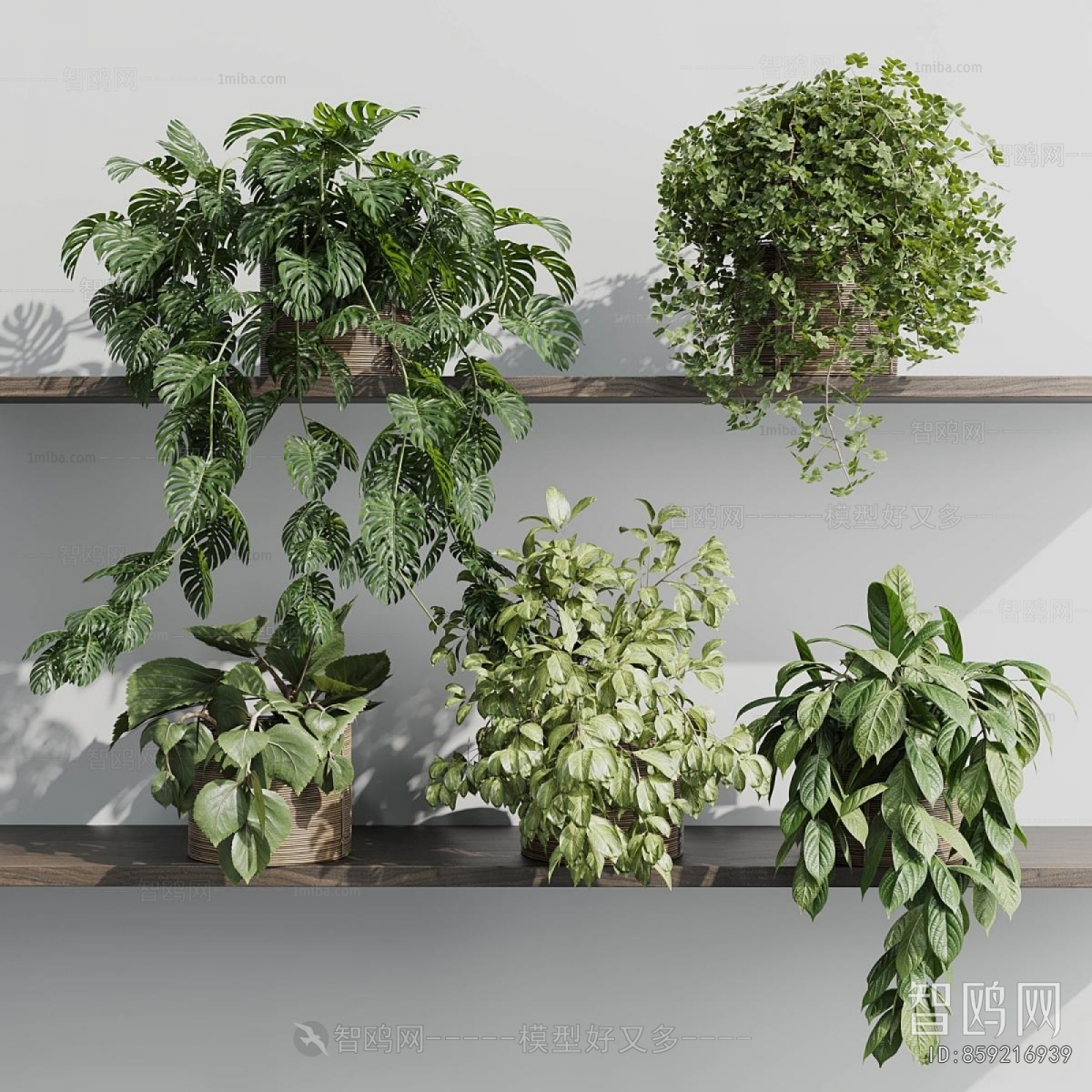 Modern Potted Green Plant