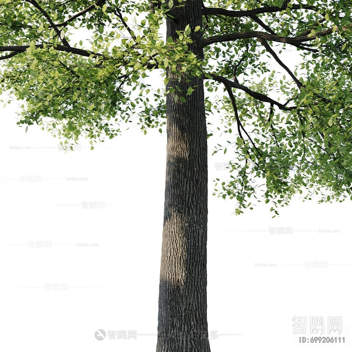 Modern Tree