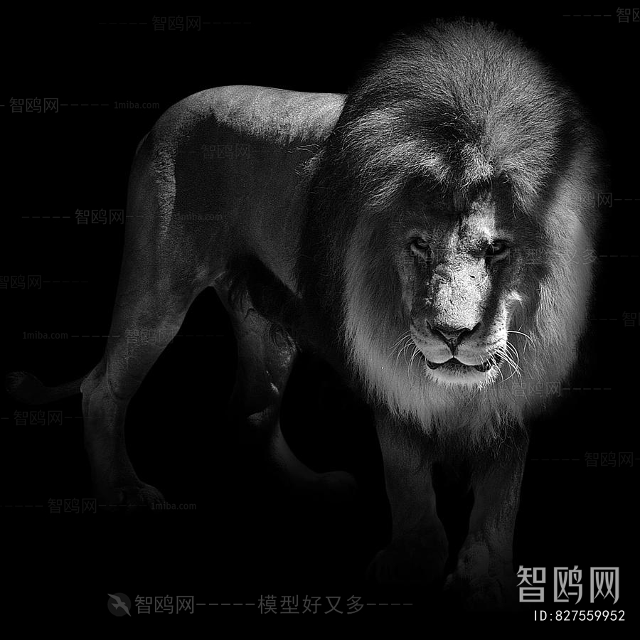 Animal Painting