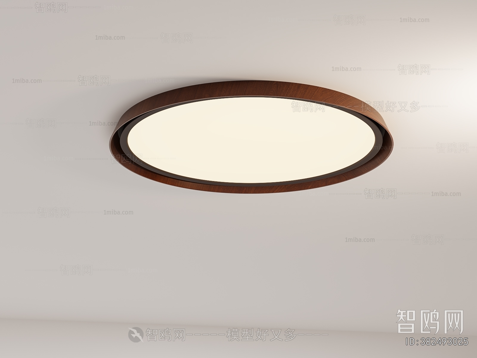 Modern Ceiling Ceiling Lamp