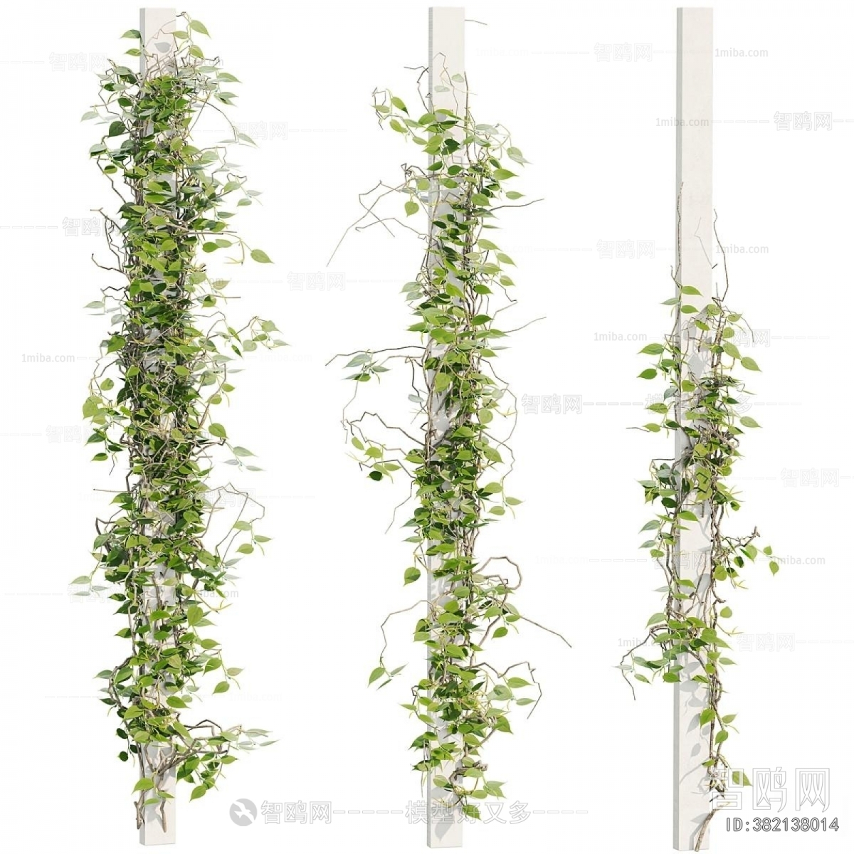 Modern Vine