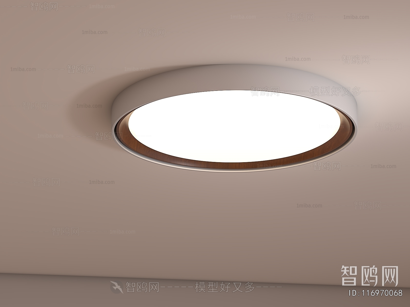Modern Ceiling Ceiling Lamp