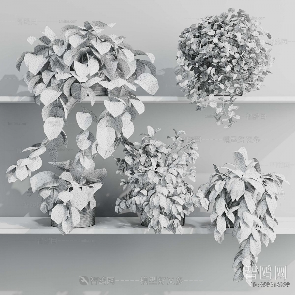 Modern Potted Green Plant
