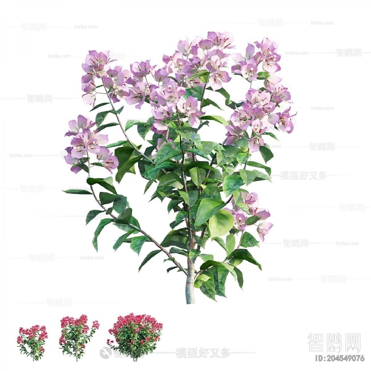 Modern Shrubbery