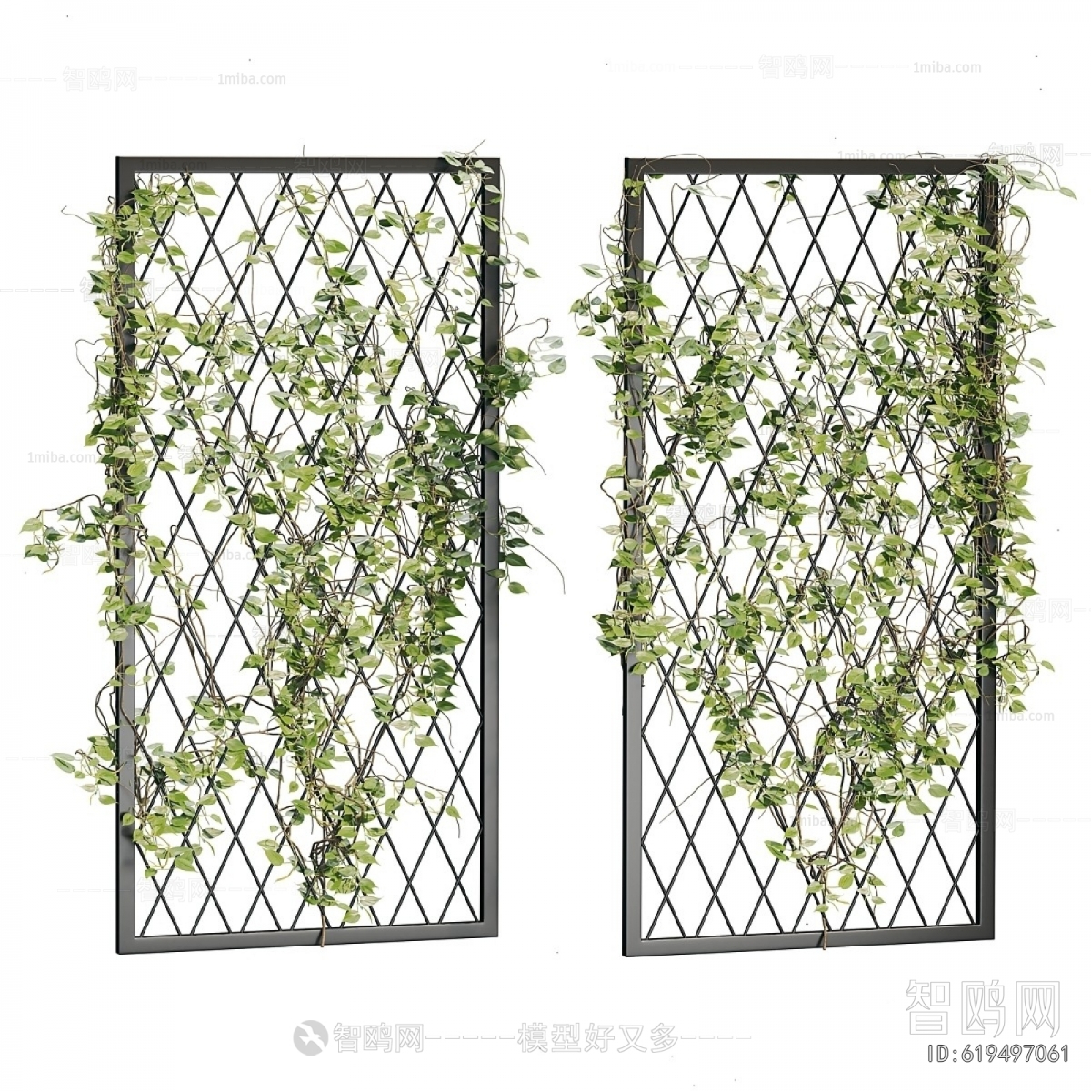 Modern Vine