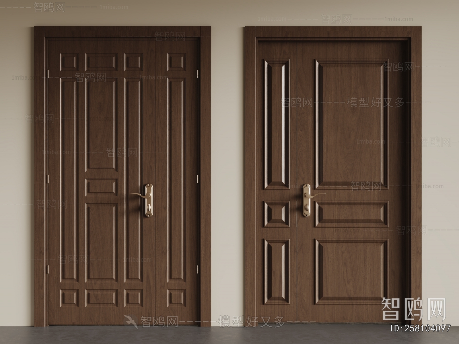 Modern Entrance Door