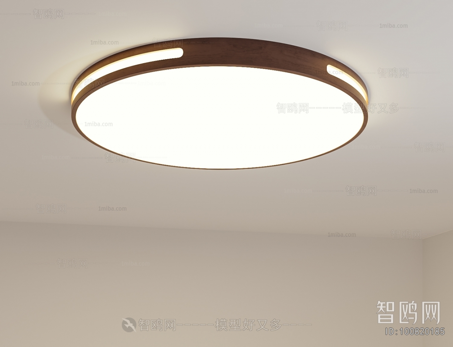 Modern Ceiling Ceiling Lamp