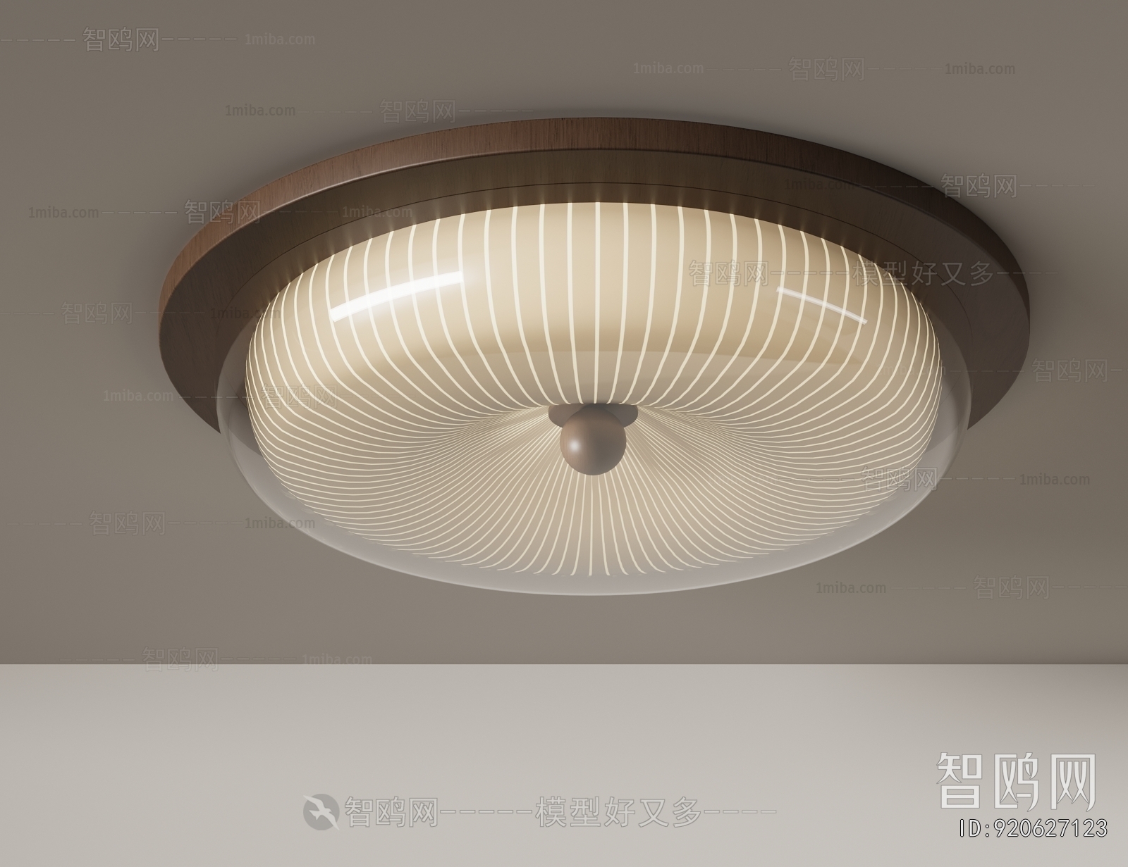 Modern Ceiling Ceiling Lamp