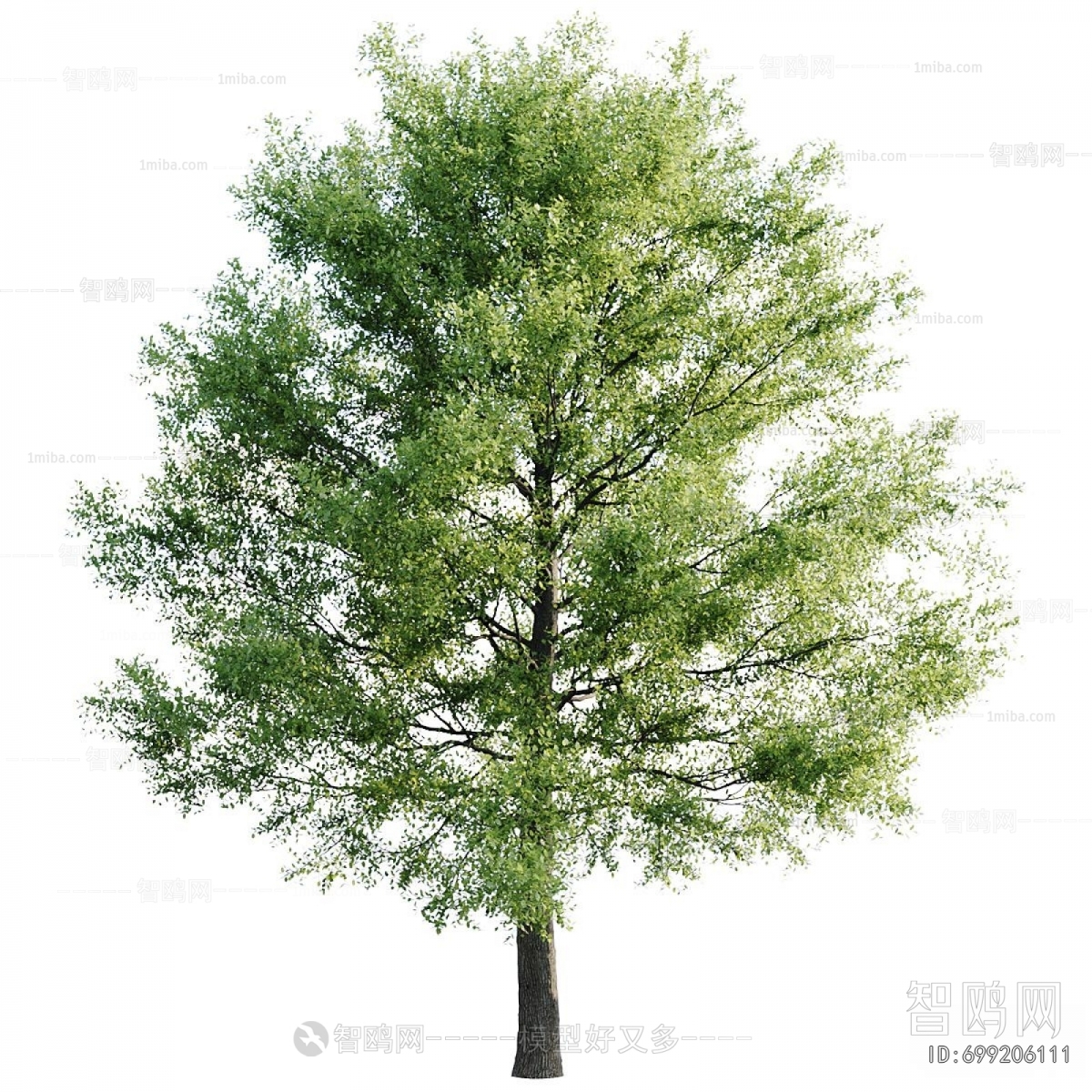 Modern Tree