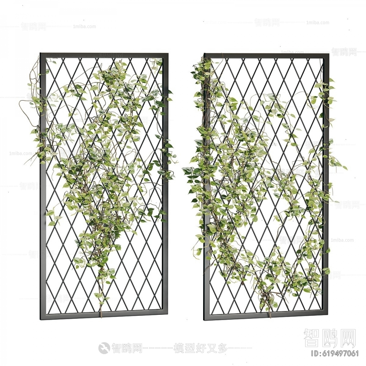 Modern Vine