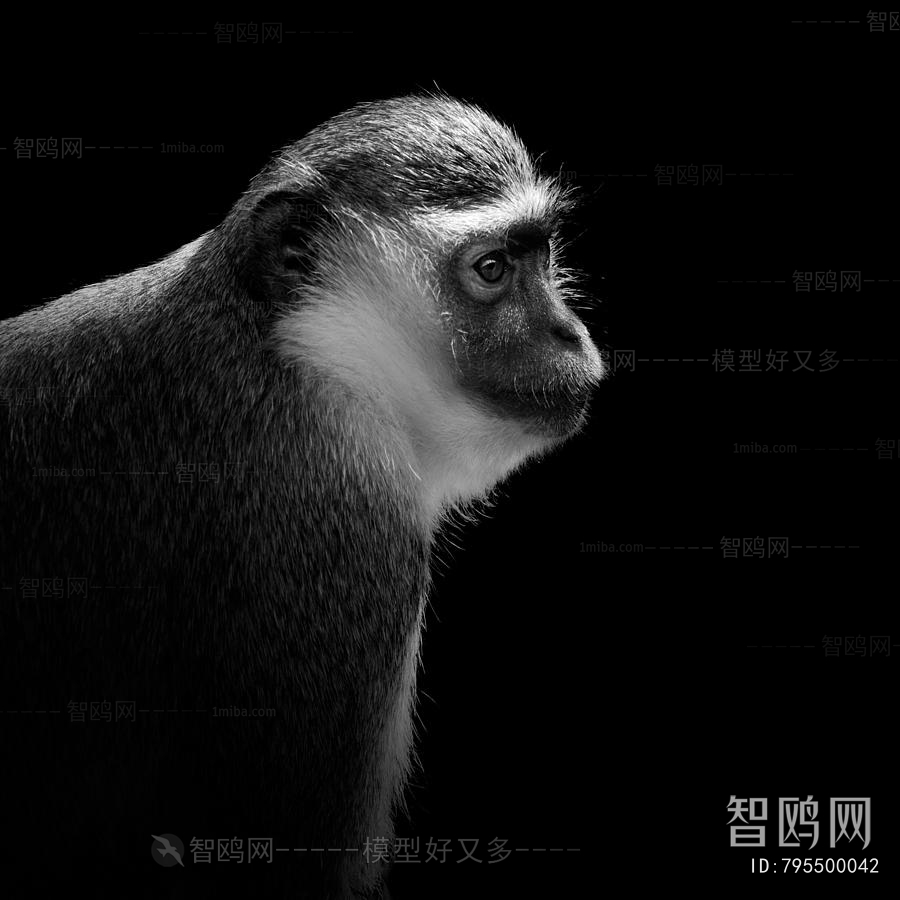 Animal Painting