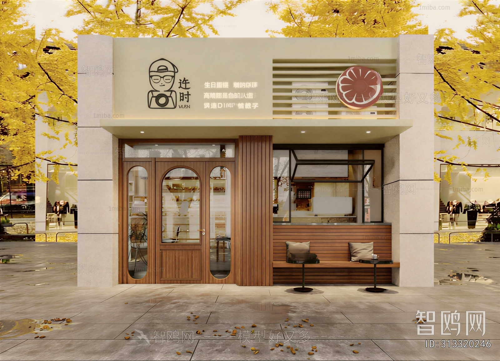 Modern Facade Element