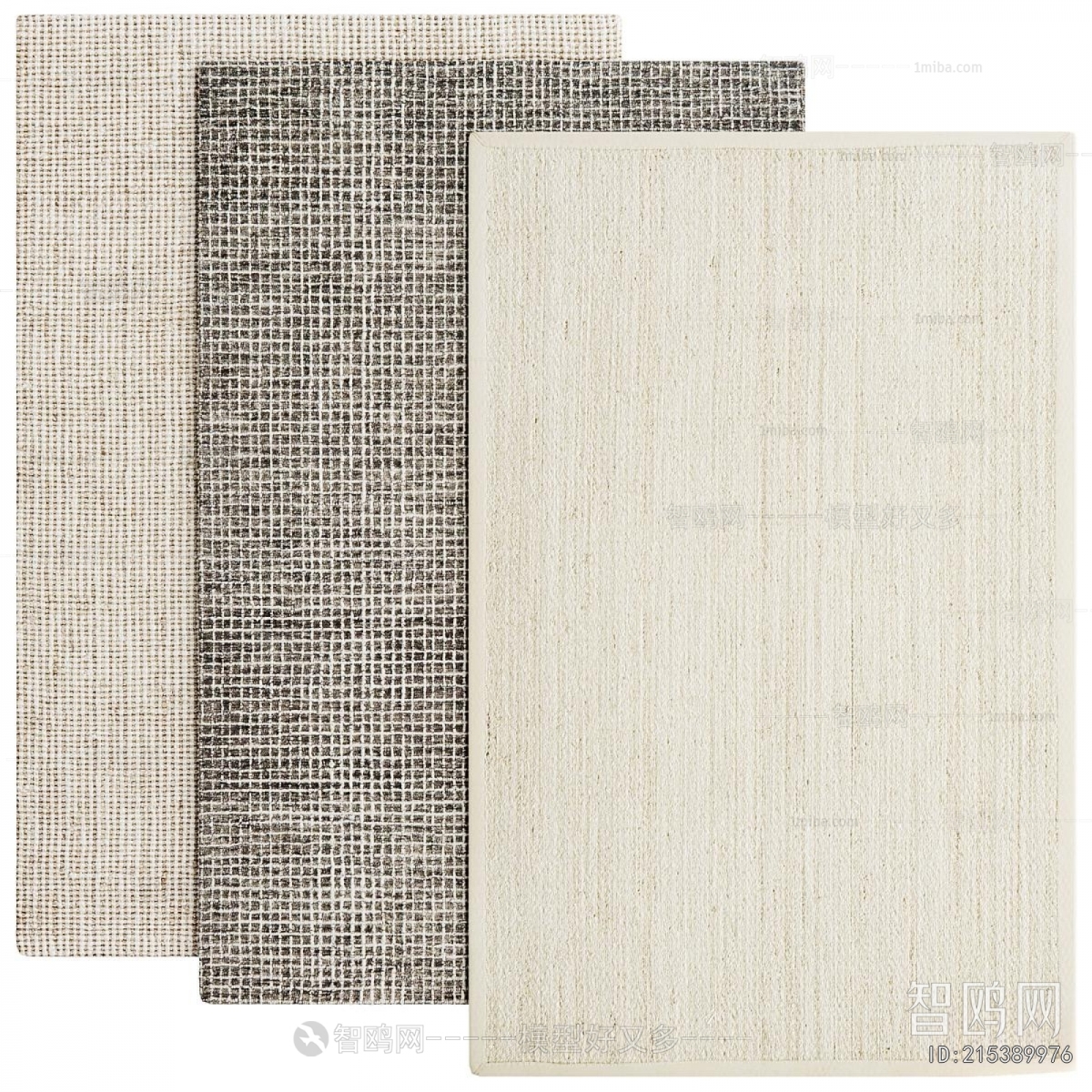 Modern The Carpet