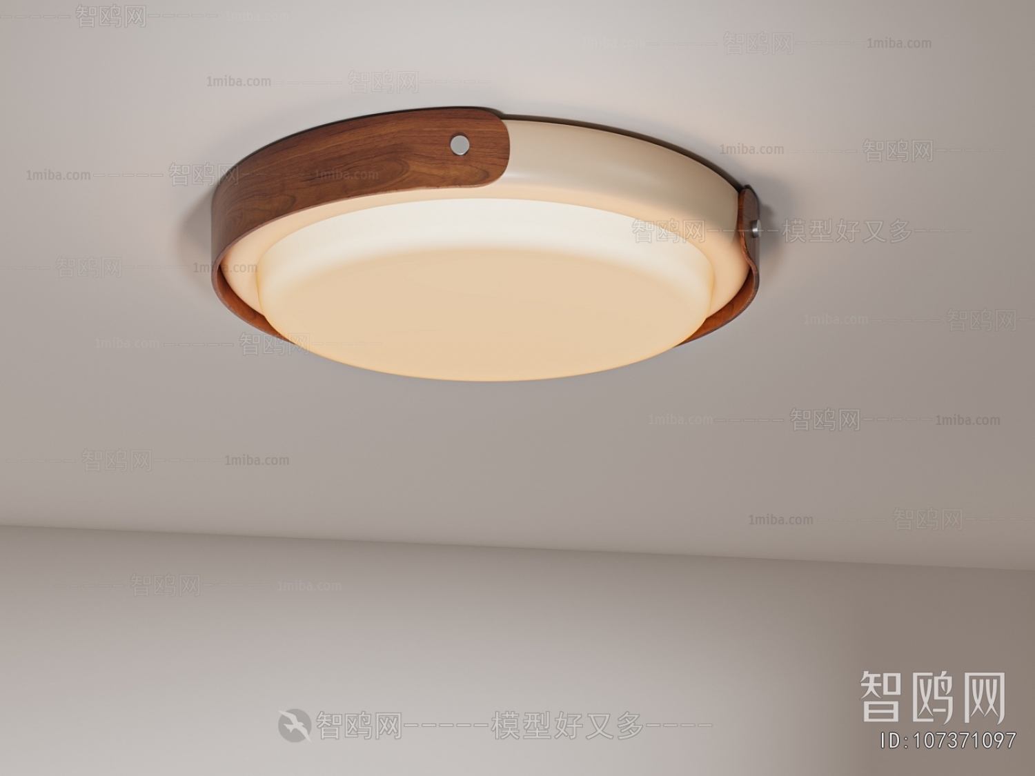 Modern Ceiling Ceiling Lamp