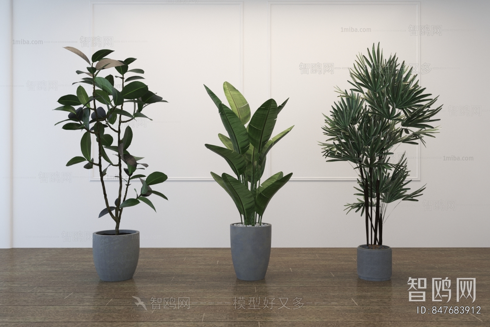 Modern Ground Green Plant Potted Plants