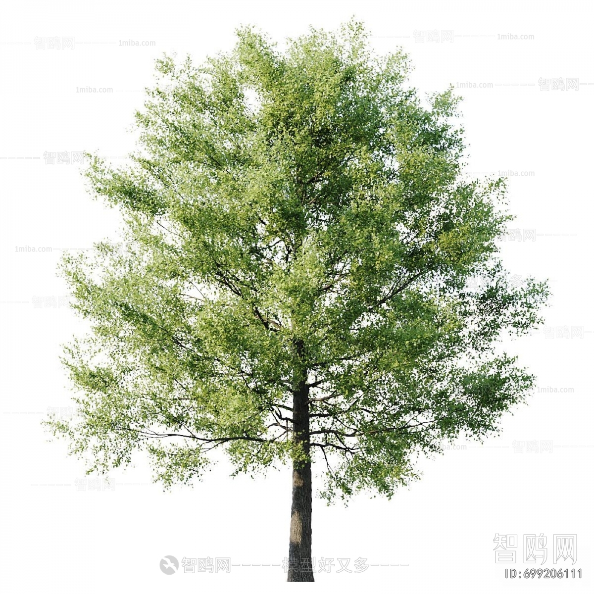 Modern Tree